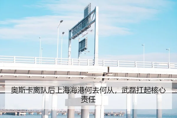 奥斯卡离队后上海海港何去何从，武磊扛起核心责任