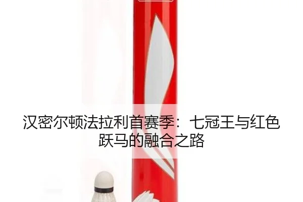 han-mi-er-dun-fa-la-li-shou-sai-ji-qi-guan-wang-yu-hong-se-yue-ma-de-rong-he-zhi-lu-2-138.jpg