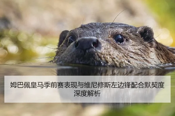 姆巴佩皇马季前赛表现与维尼修斯左边锋配合默契度深度解析