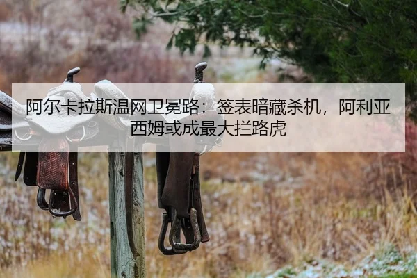 a-er-ka-la-si-wen-wang-wei-mian-lu-qian-biao-an-cang-sha-ji-a-li-ya-xi-mu-huo-cheng-zui-da-lan-lu-hu-2-378.jpg
