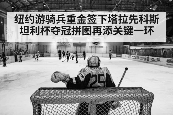 纽约游骑兵重金签下塔拉先科斯坦利杯夺冠拼图再添关键一环